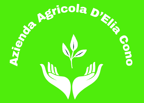 logo azienda mani pianta
